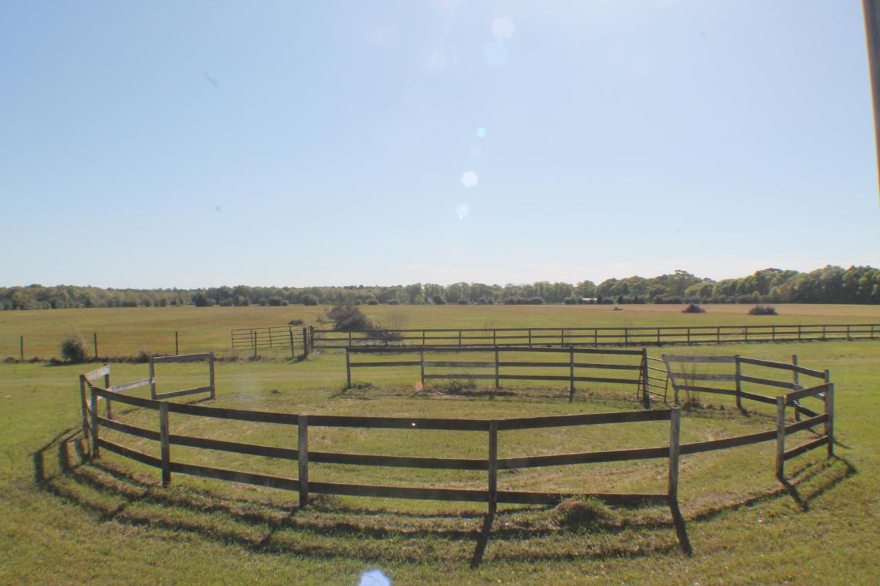 5100-Block Griffith Mill Road - Photo 1