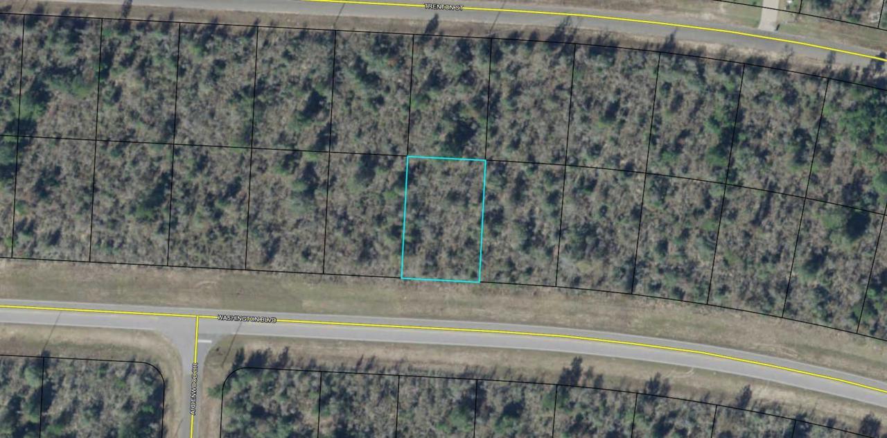 0.229 Acre Washington Boulevard - Photo 1