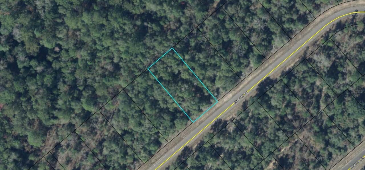 5 Lots Sunny Hill Lots - Photo 1