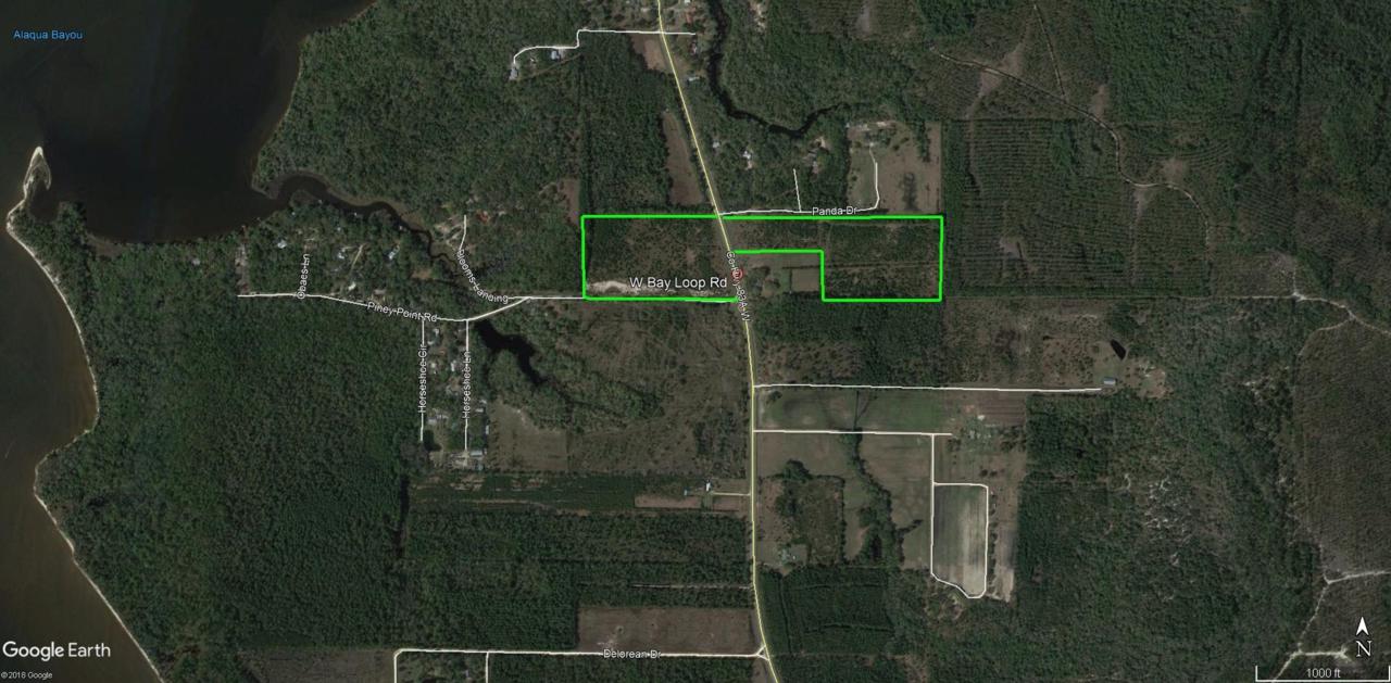 00 Bay Loop Road - Photo 1