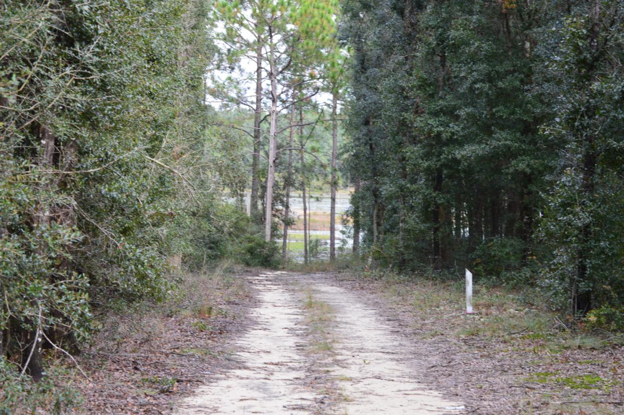 Caswell Road - Photo 1