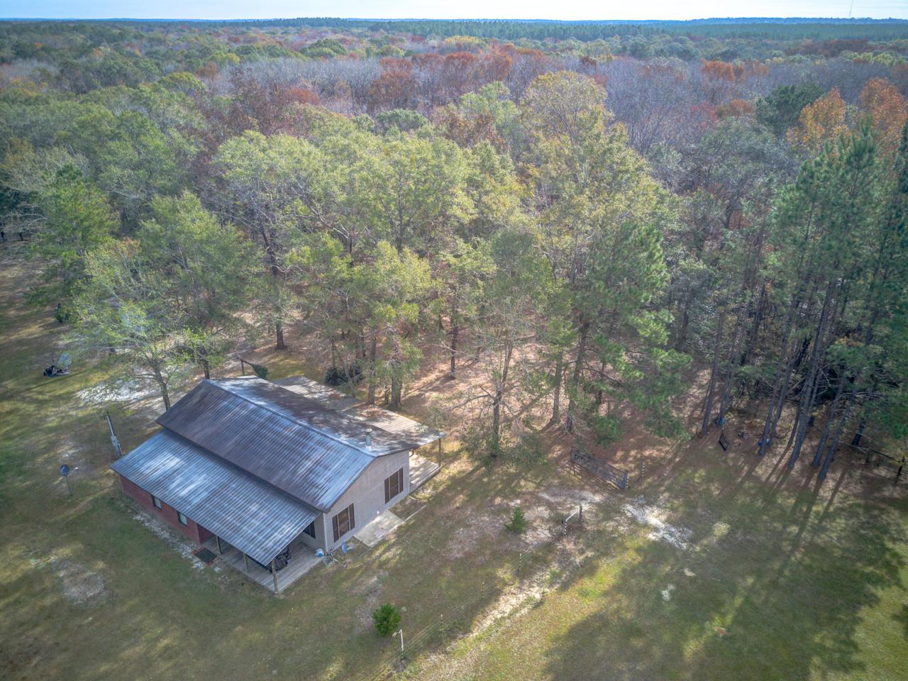 4310 Chapel Branch Drive - Photo 1