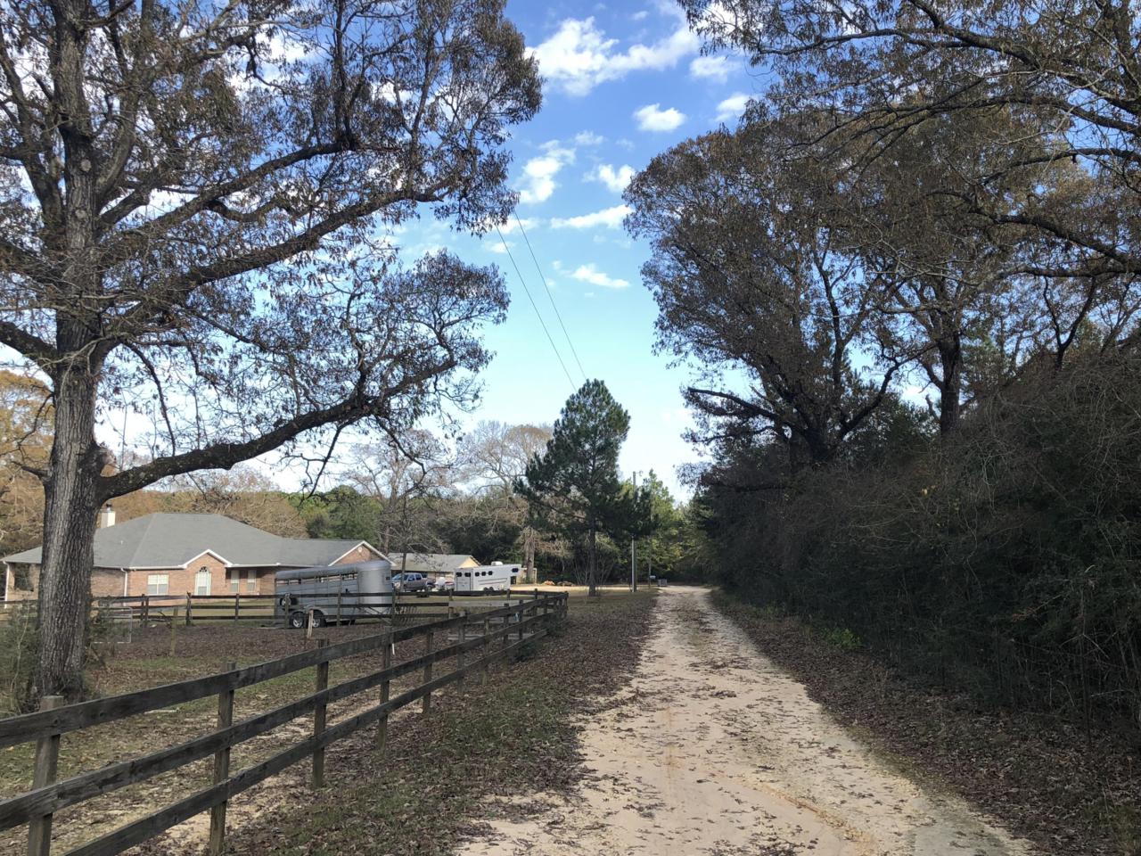 10 AC Carmillo Lane - Photo 1