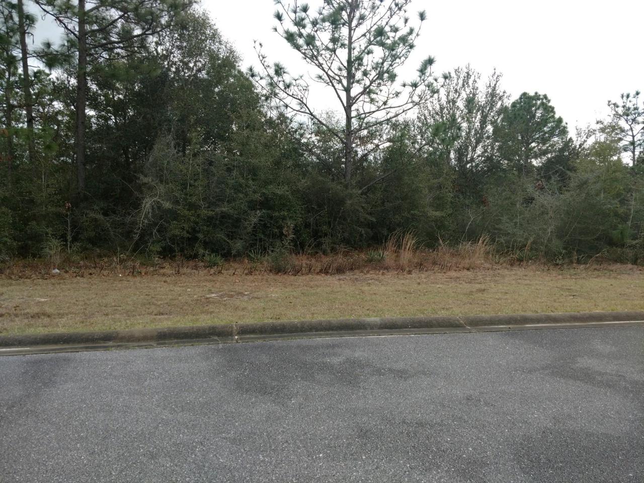 6384 Antigone Circle - Photo 1