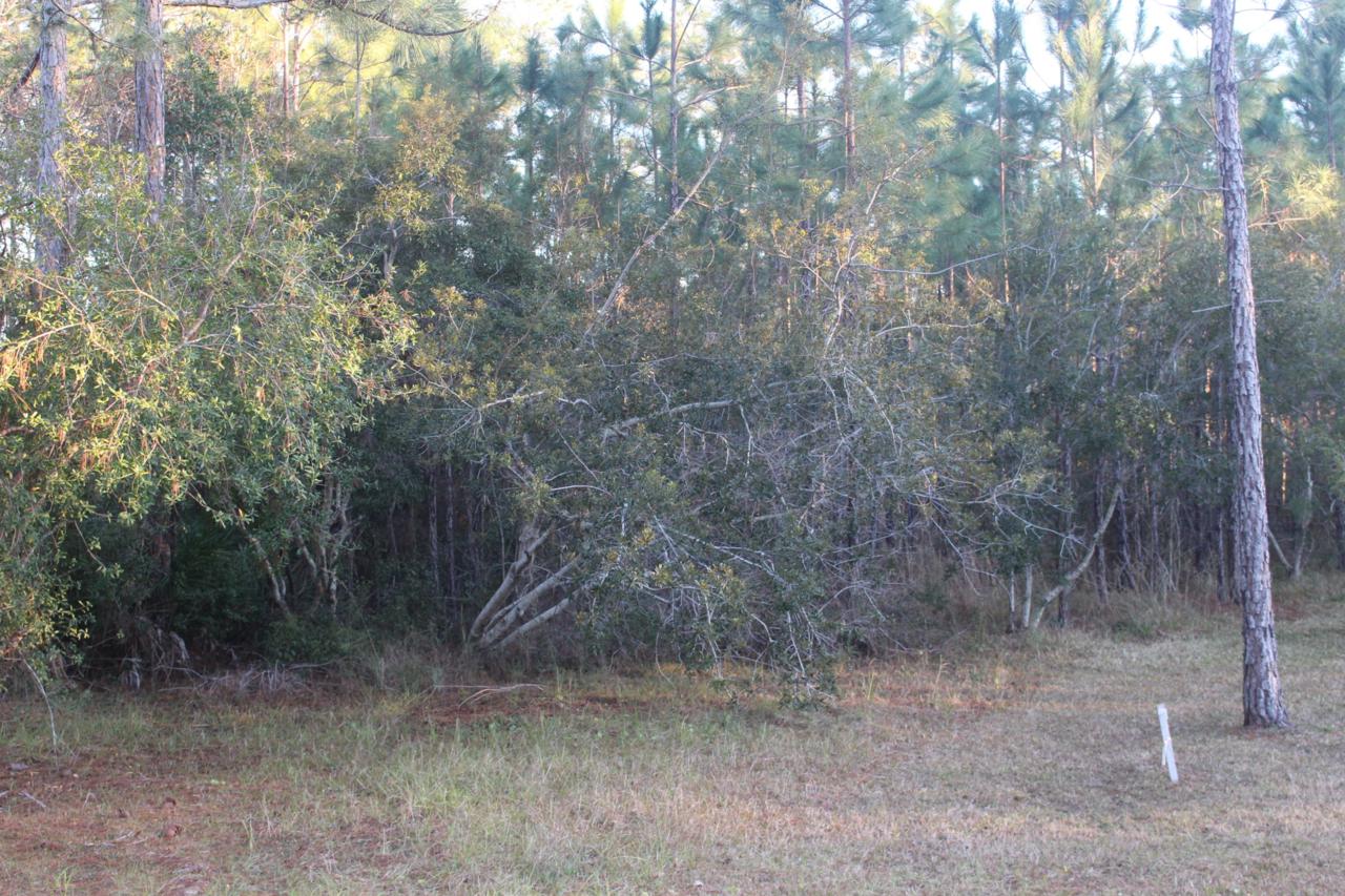 Lot 9 Monarch Drive - Photo 1