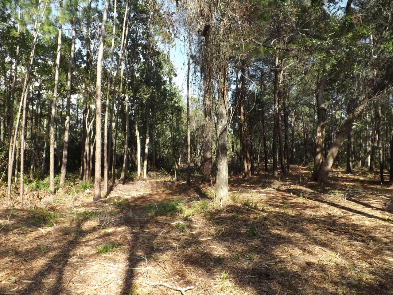 Lot 6 Turtle Creek Drive - Photo 1