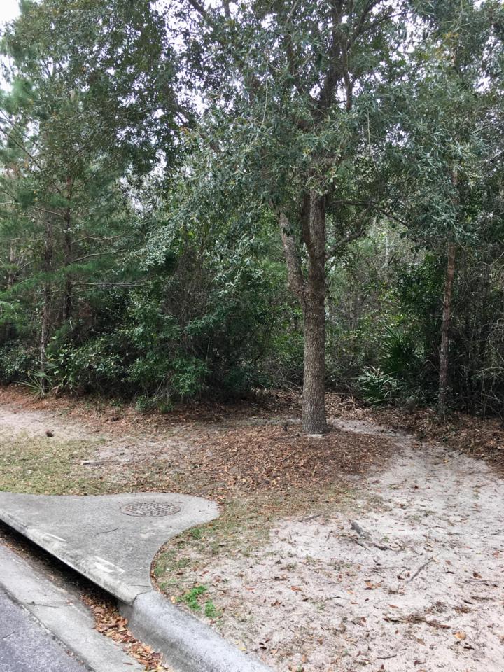 96 Grand Flora Way - Photo 1