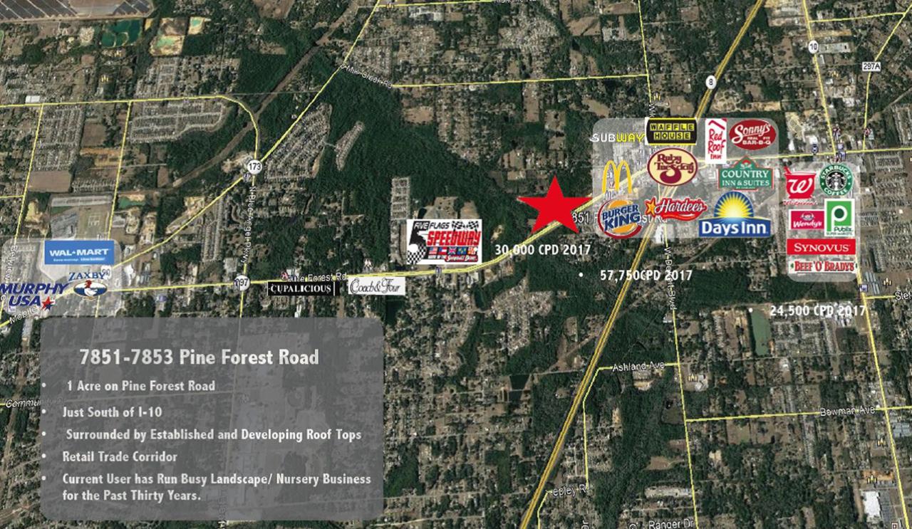 7851 Pine Forest Road - Photo 1