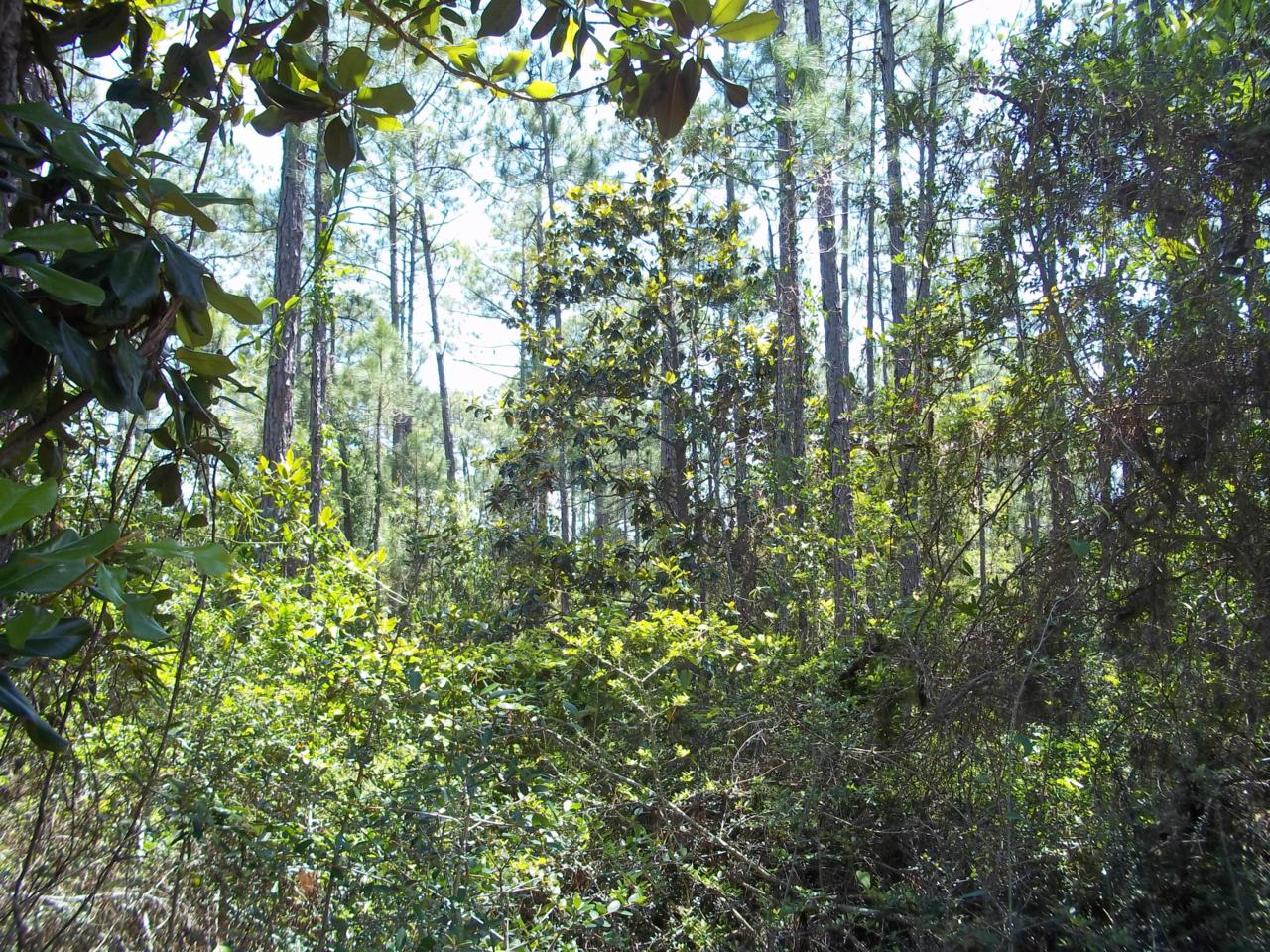 Lot 16-18 16th Street - Photo 1