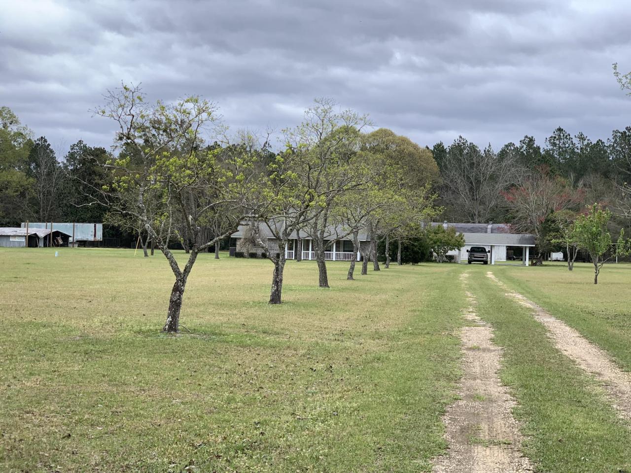 134 Thomas Drive - Photo 1