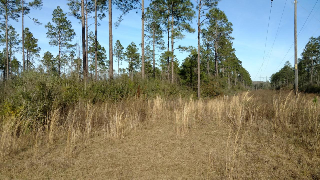 1502 Yorkey Road - Photo 1