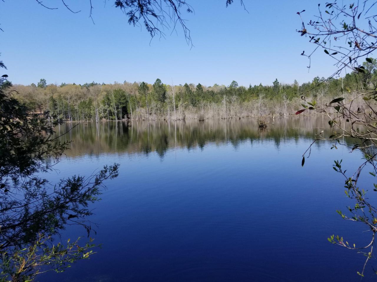12 Ac Xxx Leisure Lane - Photo 1
