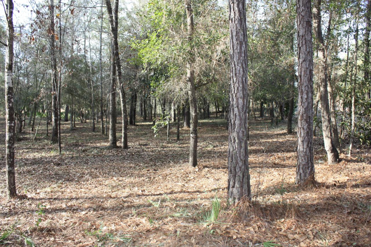 Lot 13 Evergreen Parkway - Photo 1