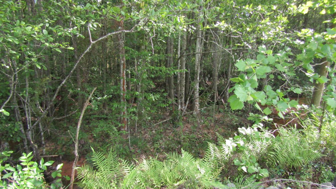 0000 Stillwell Boulevard - Photo 1