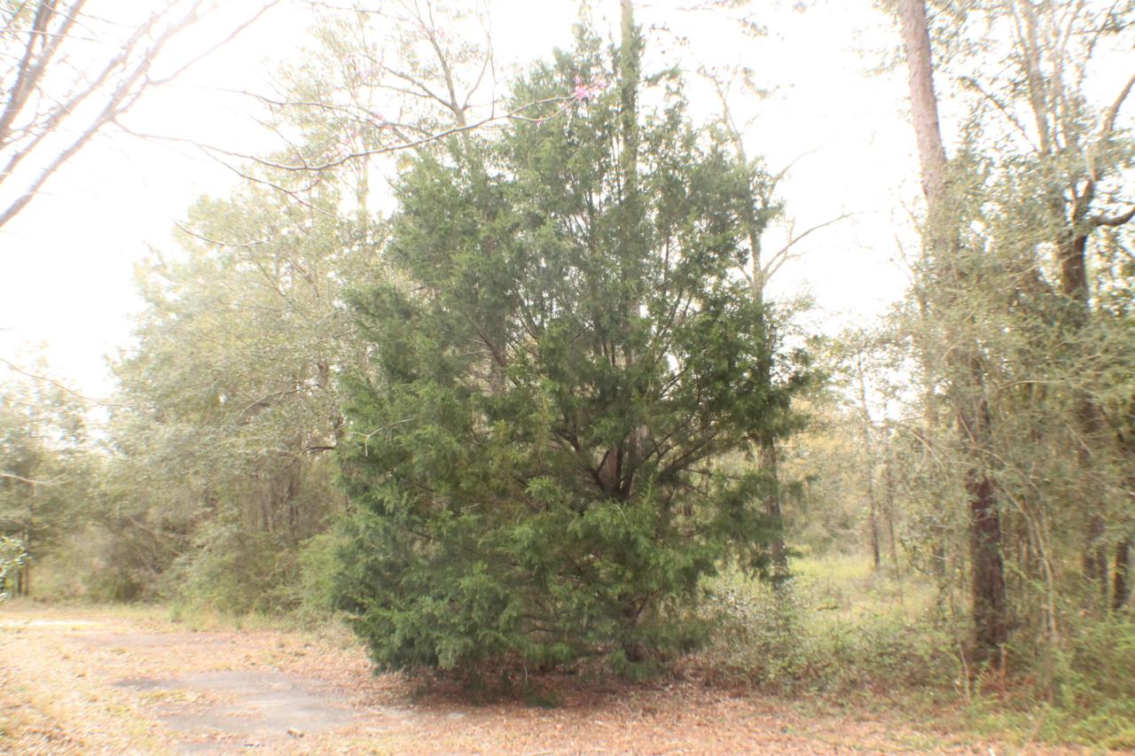 2.44 AC E Hwy 85 - Photo 1