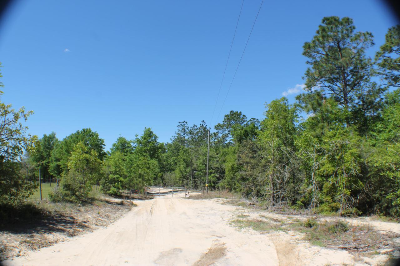 23 AC Bear Creek Road - Photo 1
