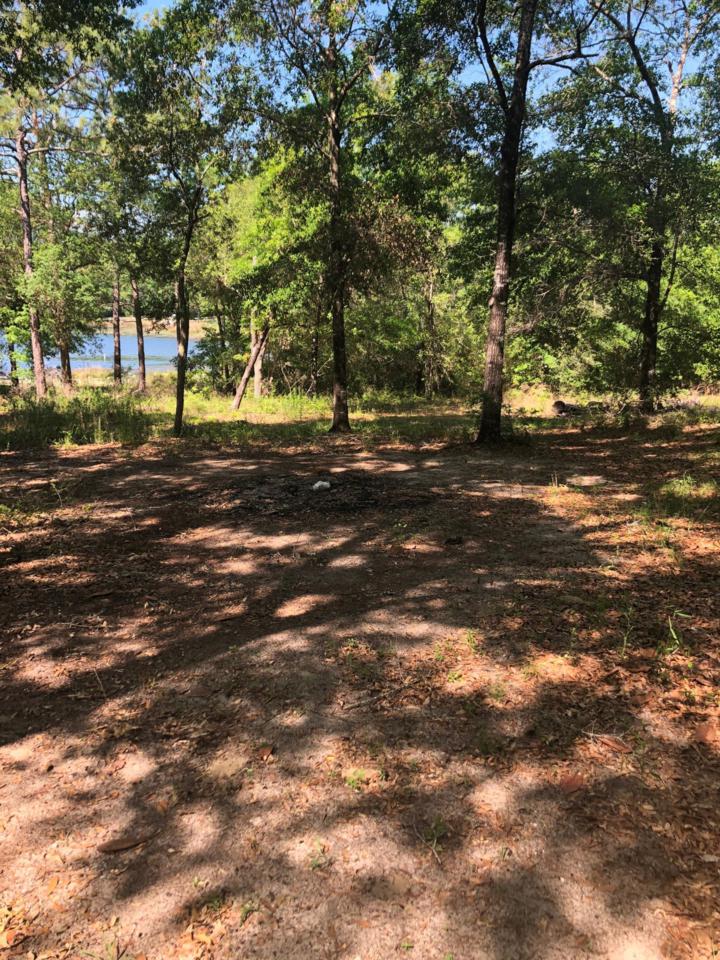 Lot 6 Lake Holley Circle - Photo 1