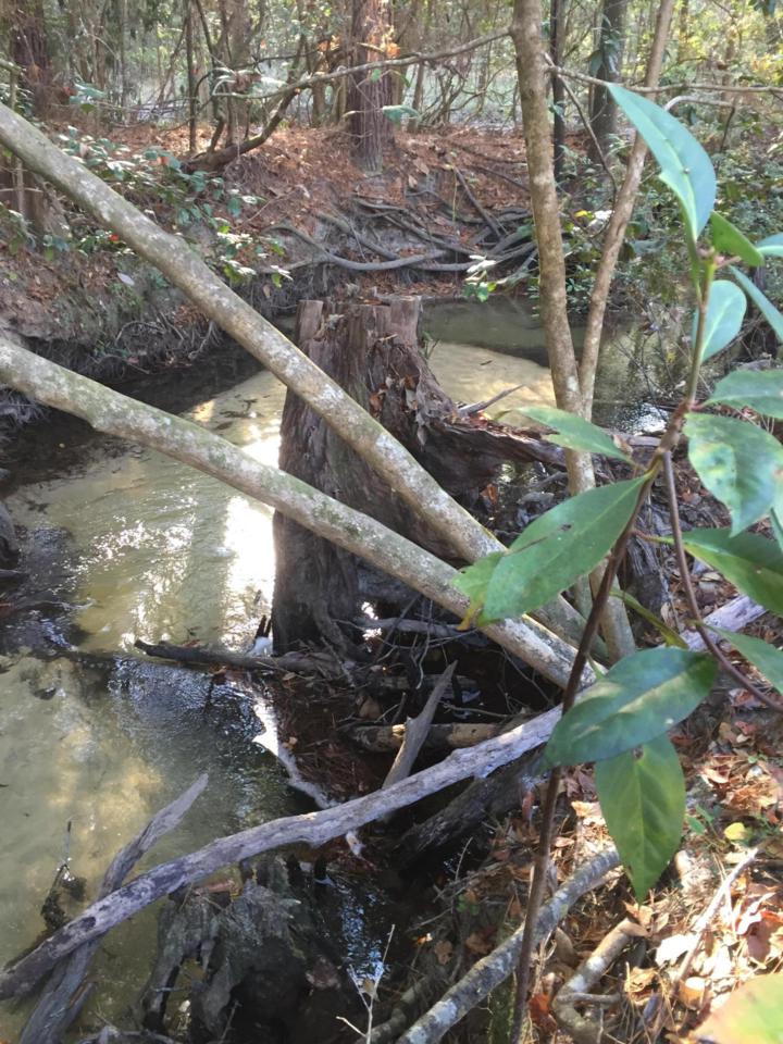 32 ac Boy Scout Road - Photo 1