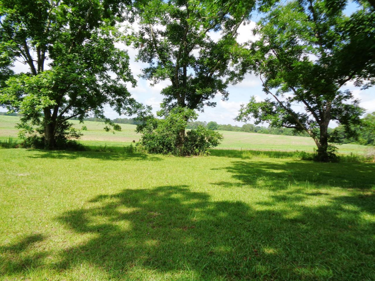 2915 Co Hwy 2-A - Photo 1