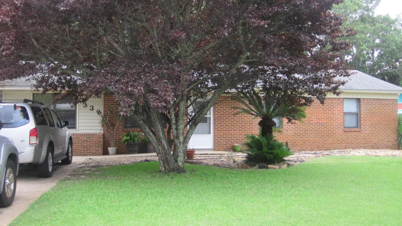 338 Lula Belle Lane - Photo 1