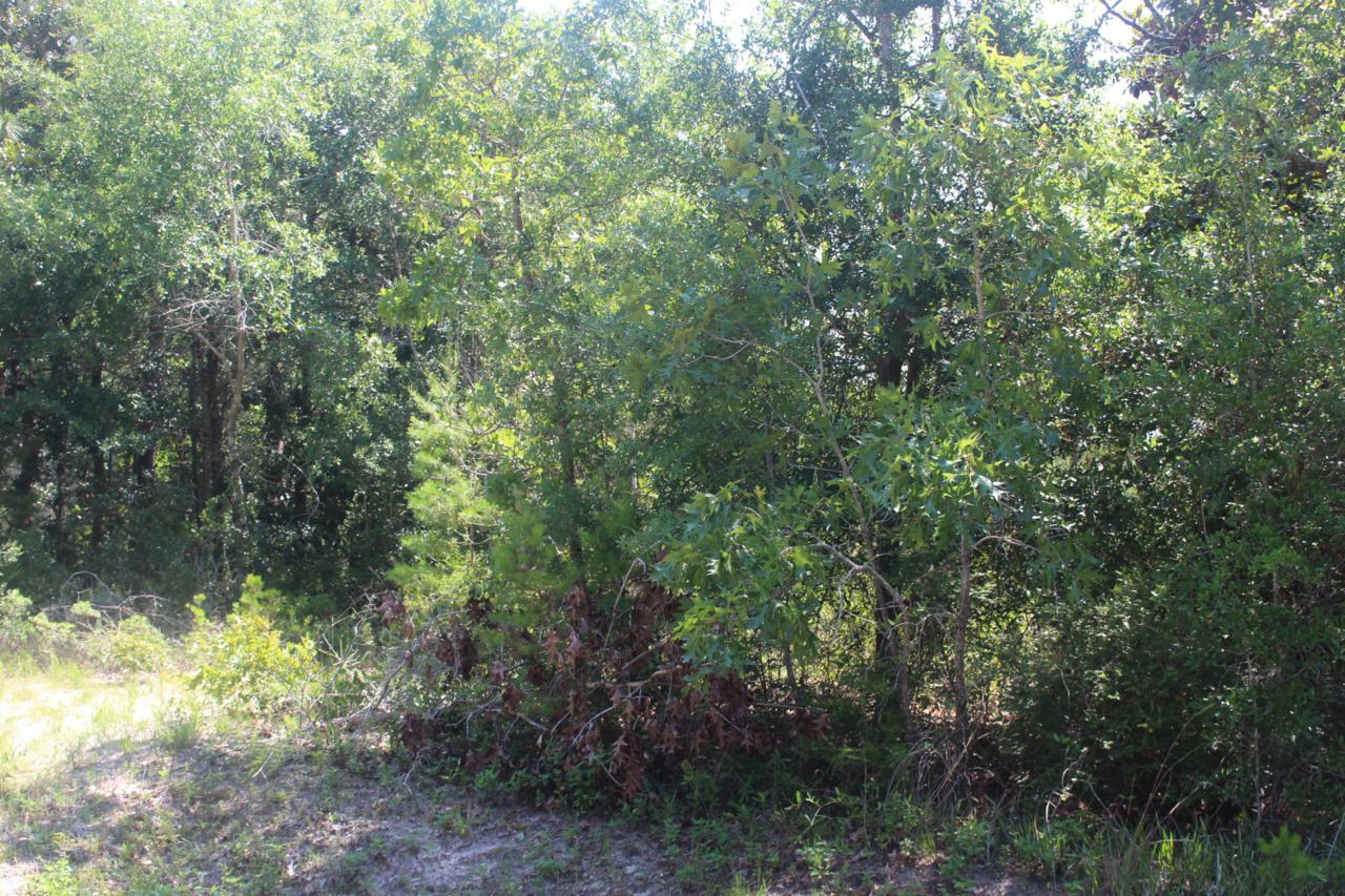 xx Ricker Avenue - Photo 1