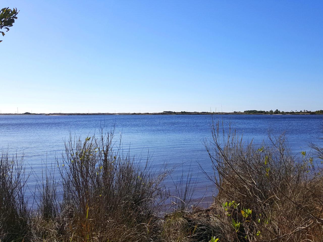 2.62 Acres Miracle Strip Parkway - Photo 1