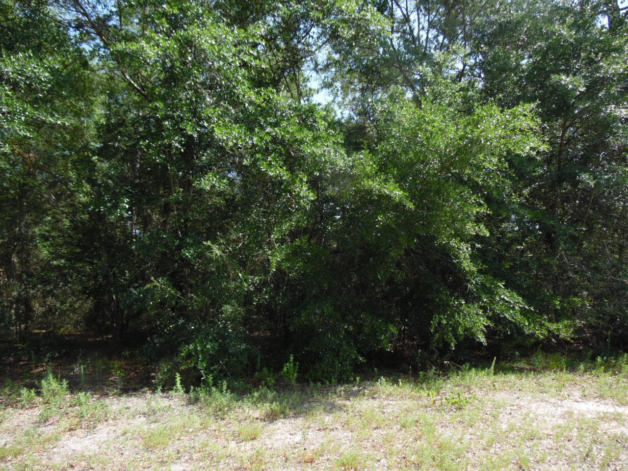 LOT 8 Us-90 - Photo 1