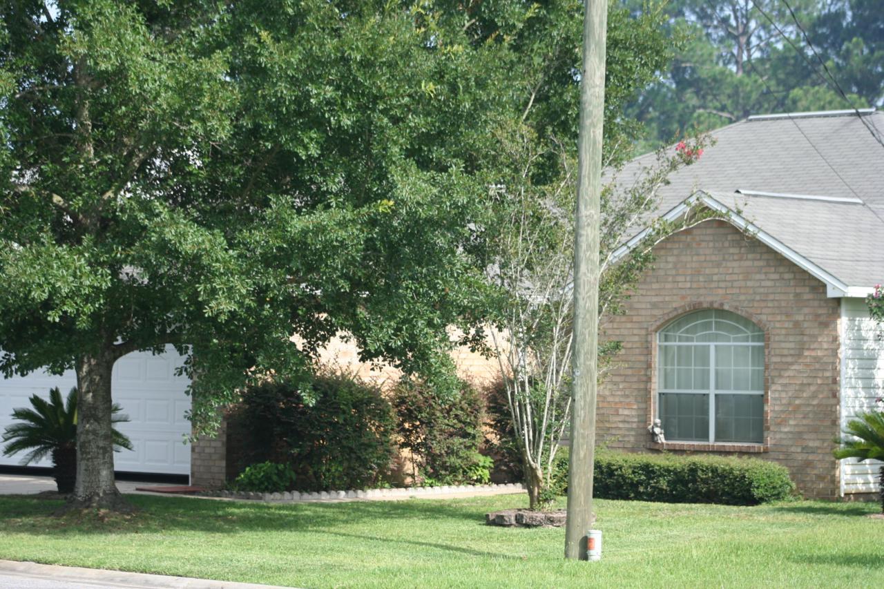 1789 Old Ranch Road - Photo 1