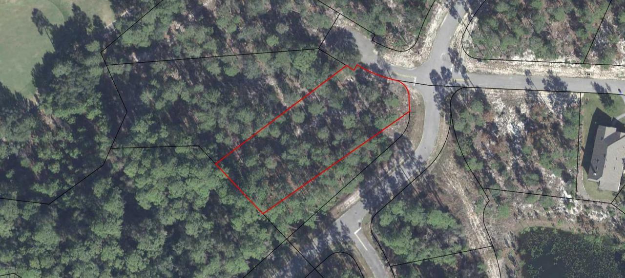 1529 Sharks Tooth Trail - Photo 1