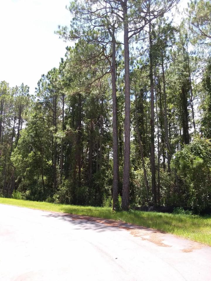 Lot 12 Blue Gulf Drive - Photo 1 Lot 12 Blue Gulf Drive - Photo 1