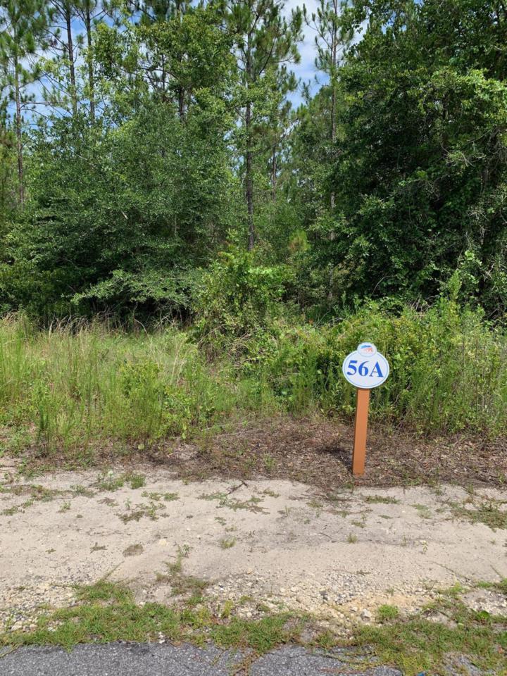 LOT 56 Hibernate Way - Photo 1