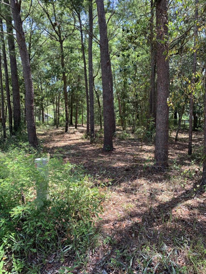 Lot 19 Ricker Avenue - Photo 1