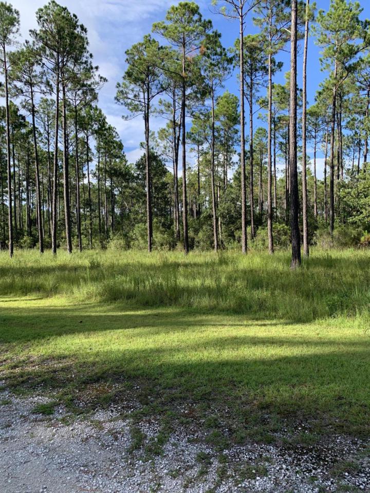 7703 Magnolia Pond Trail - Photo 1
