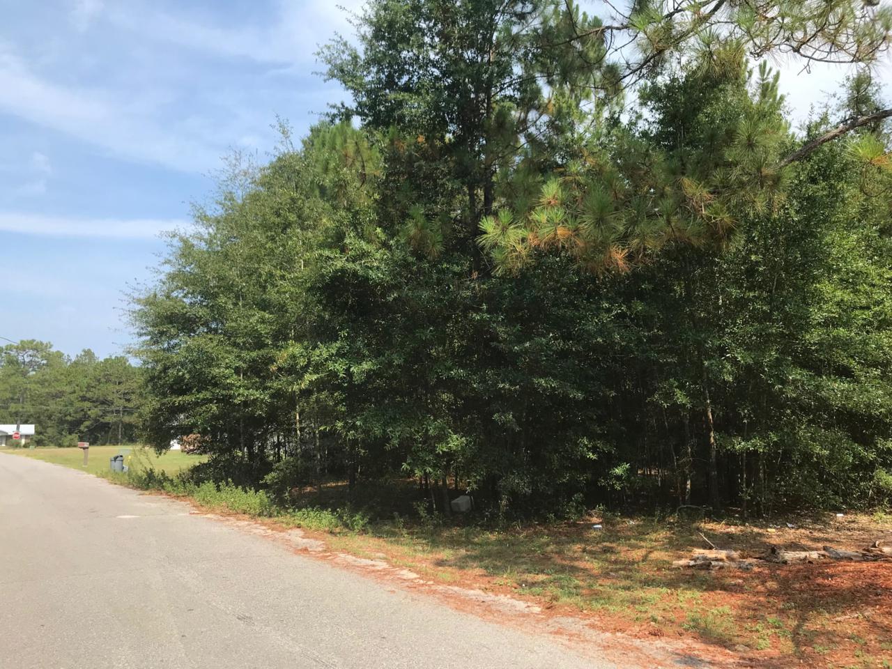 000 Catalpa Drive - Photo 1
