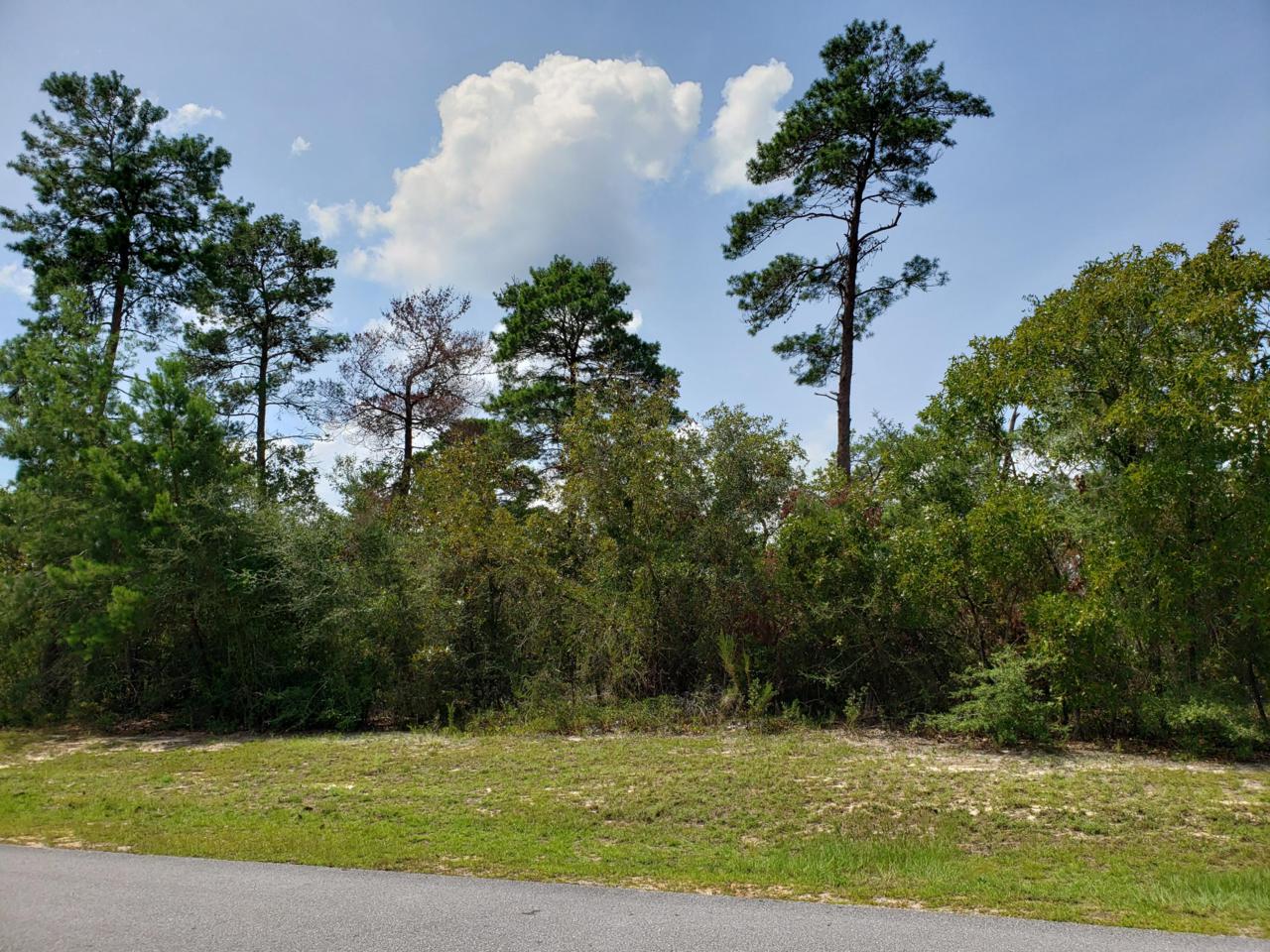 Lot 5 Tournament Lane - Photo 1
