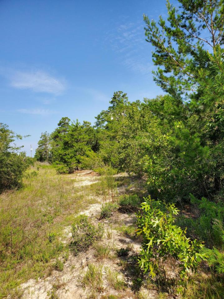 TBD Lot 15 Coastal Breeze Drive - Photo 1