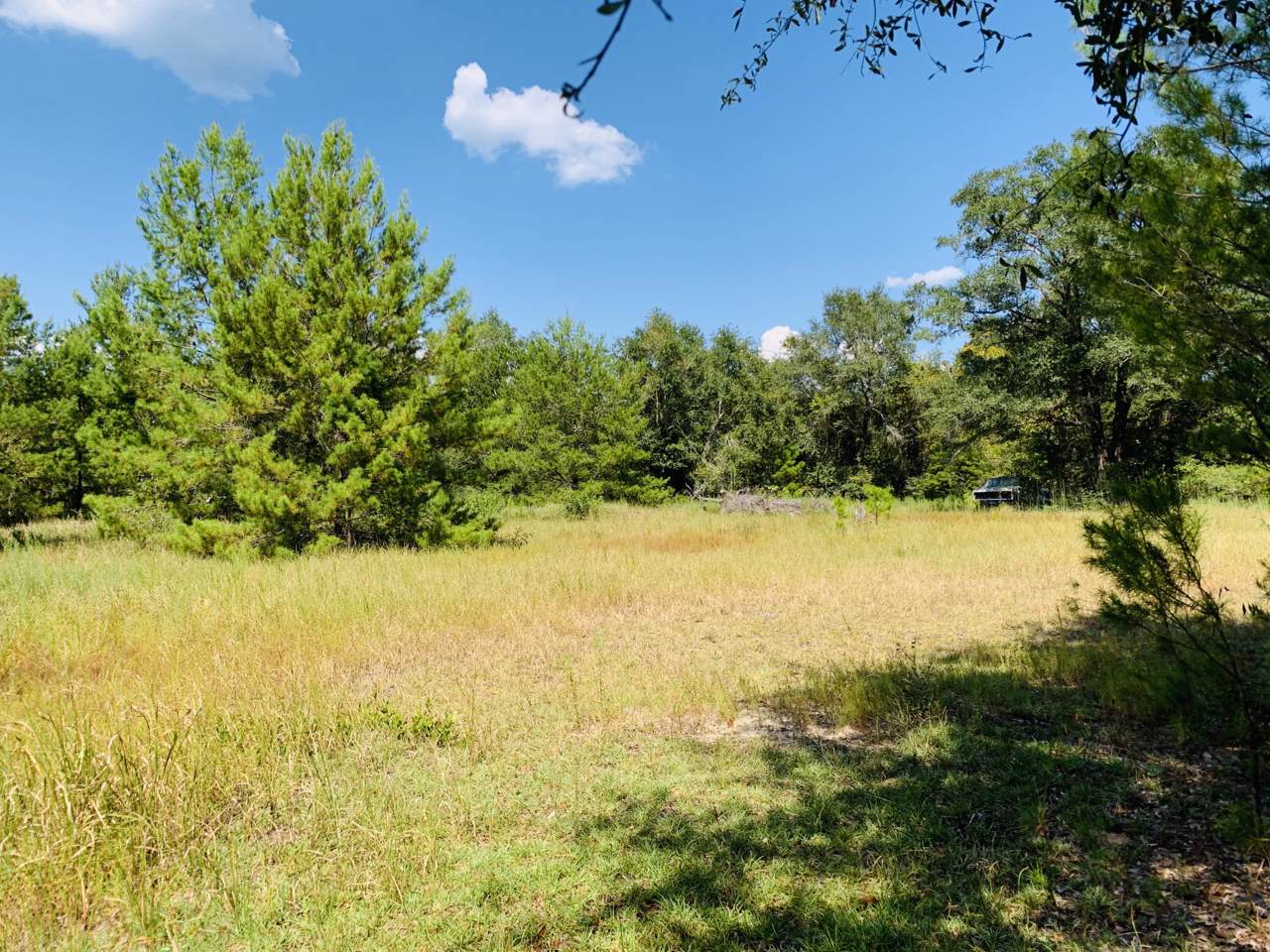 00 Rock Hill Road - Photo 1