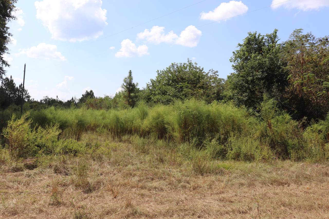 6968 Lee Cook Road - Photo 1