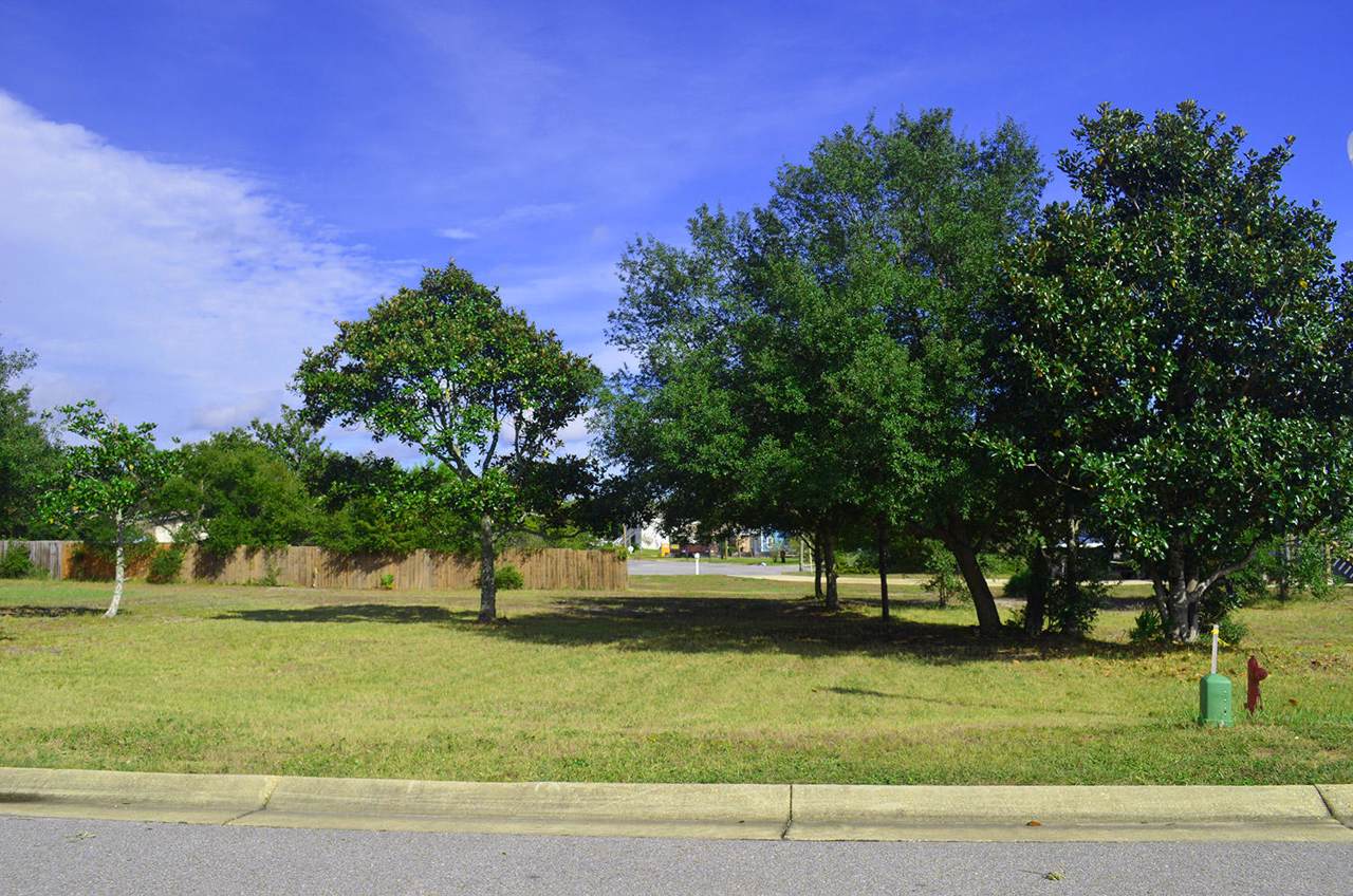 1749 Ravenna Drive - Photo 1