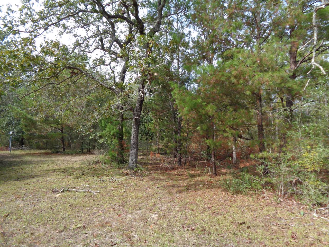 372 Henderson Road - Photo 1