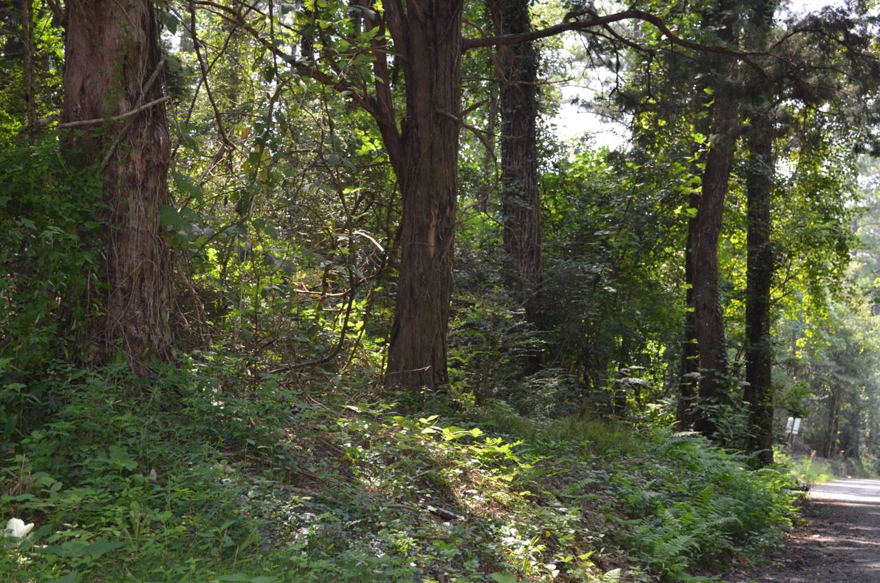 0000 Pleasant Ridge Road - Photo 1