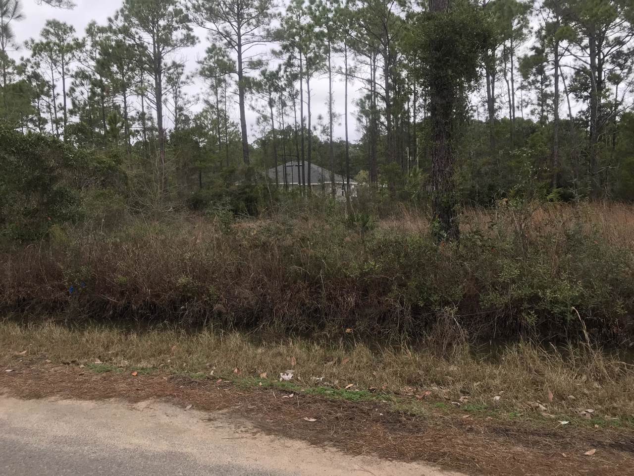 LOT 34 United Court - Photo 1