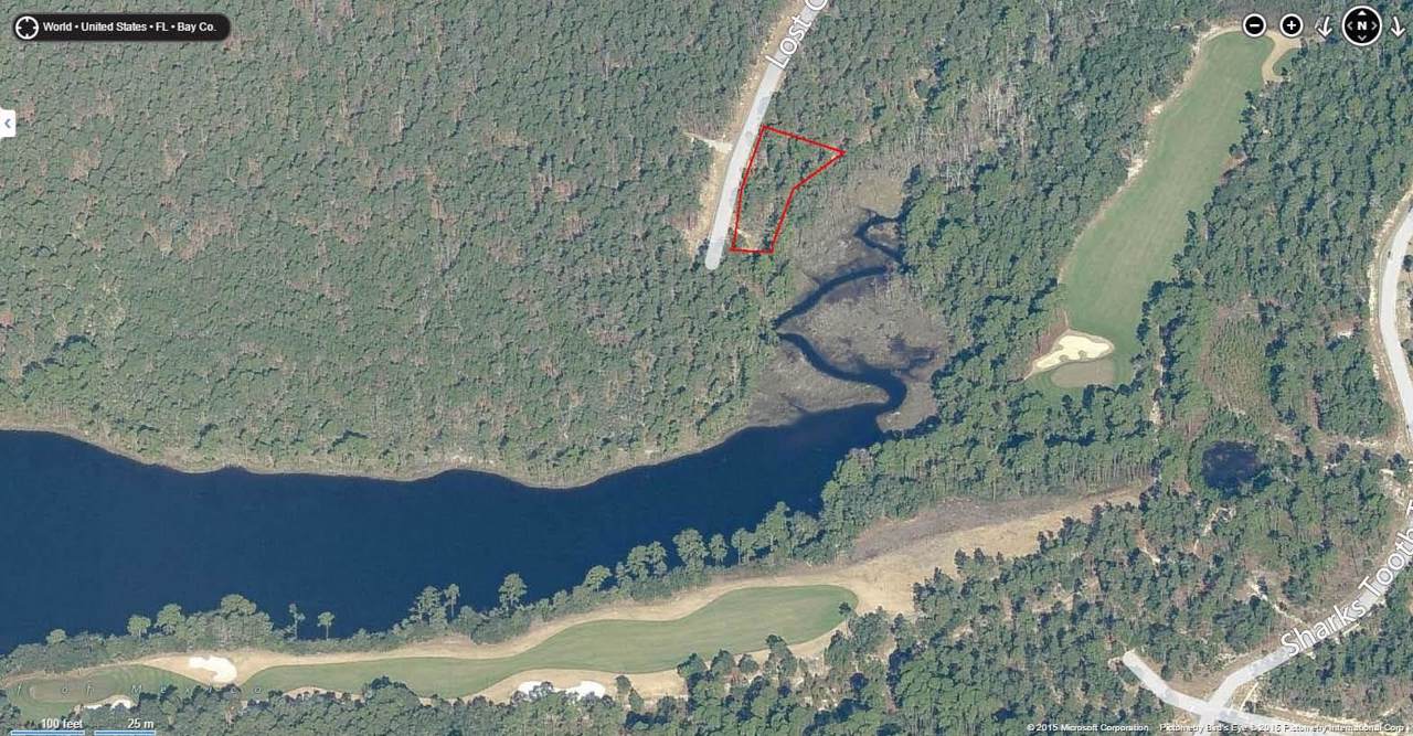 1745 Lost Cove Lane - Photo 1