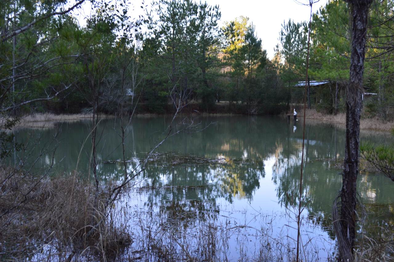 2499 Laird Road - Photo 1