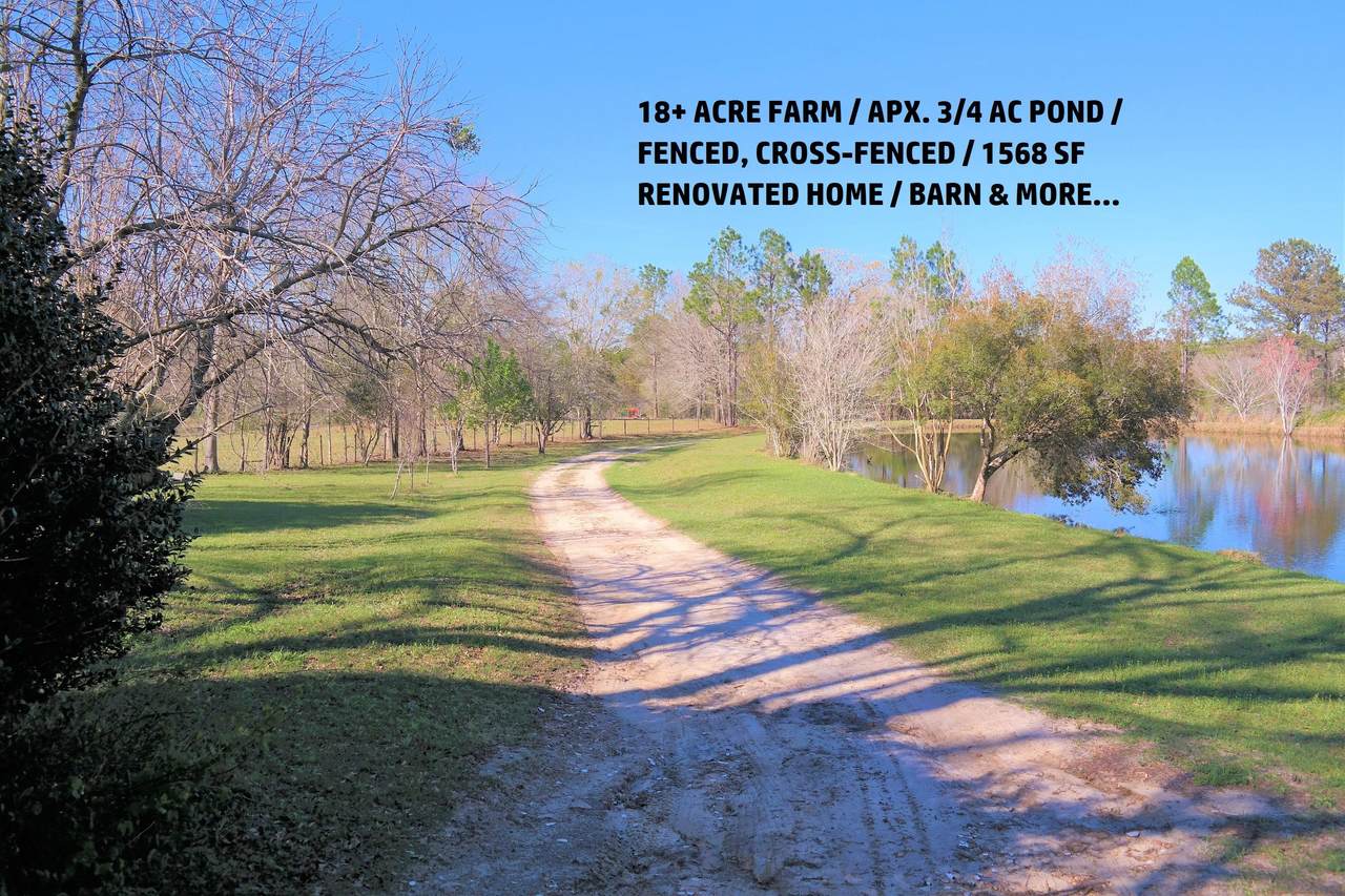 1822 Hwy 81 - Photo 1