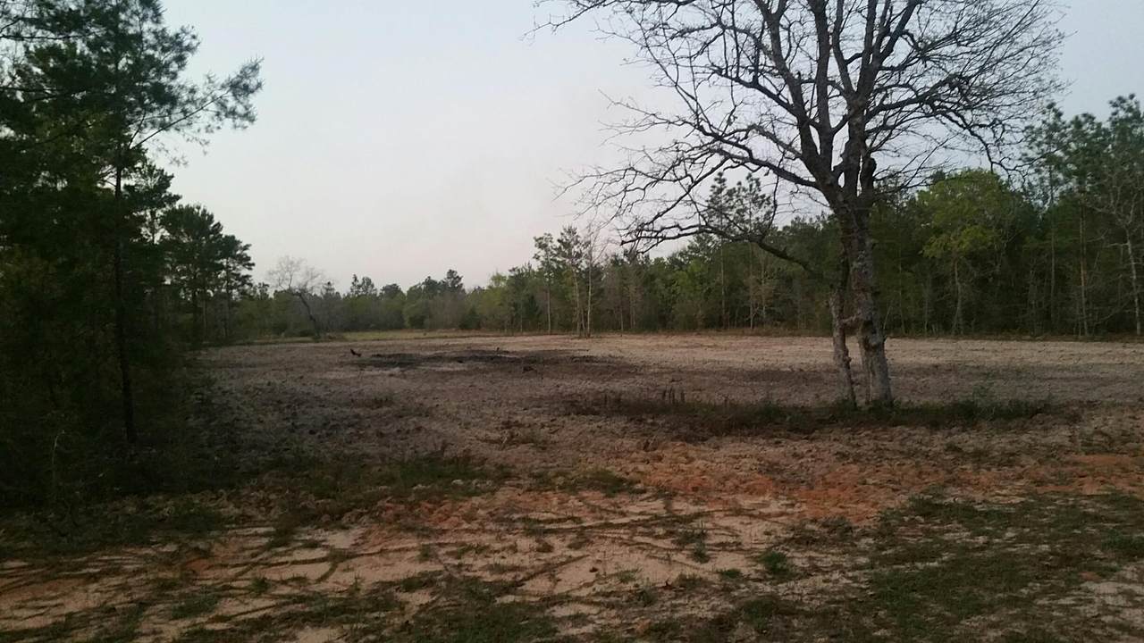 1 acre Williams Road - Photo 1