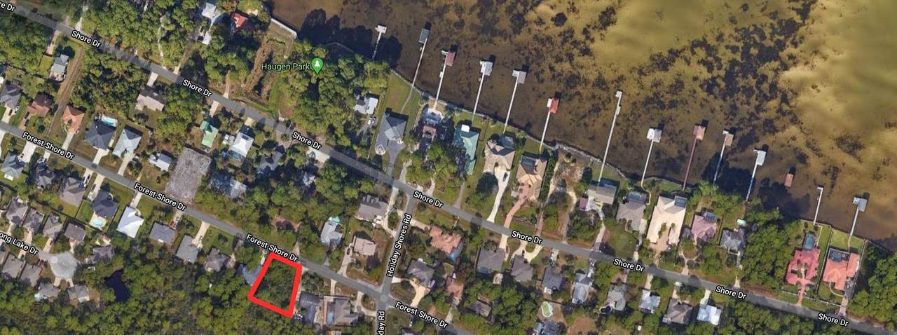 Lot 12 Forest Shore Drive - Photo 1 Lot 12 Forest Shore Drive - Photo 1