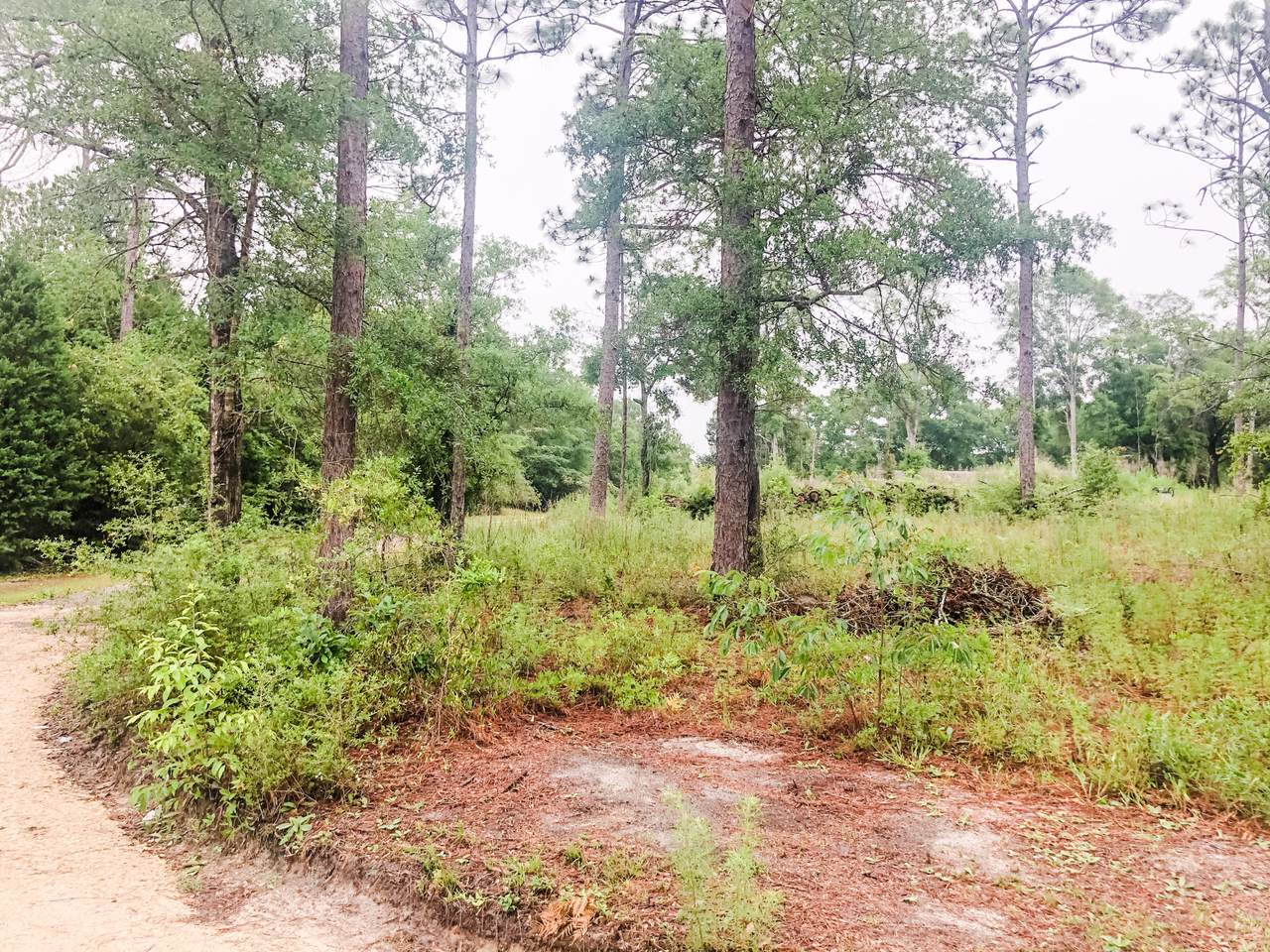 Lot 10 Apache Drive - Photo 1 Lot 10 Apache Drive - Photo 1