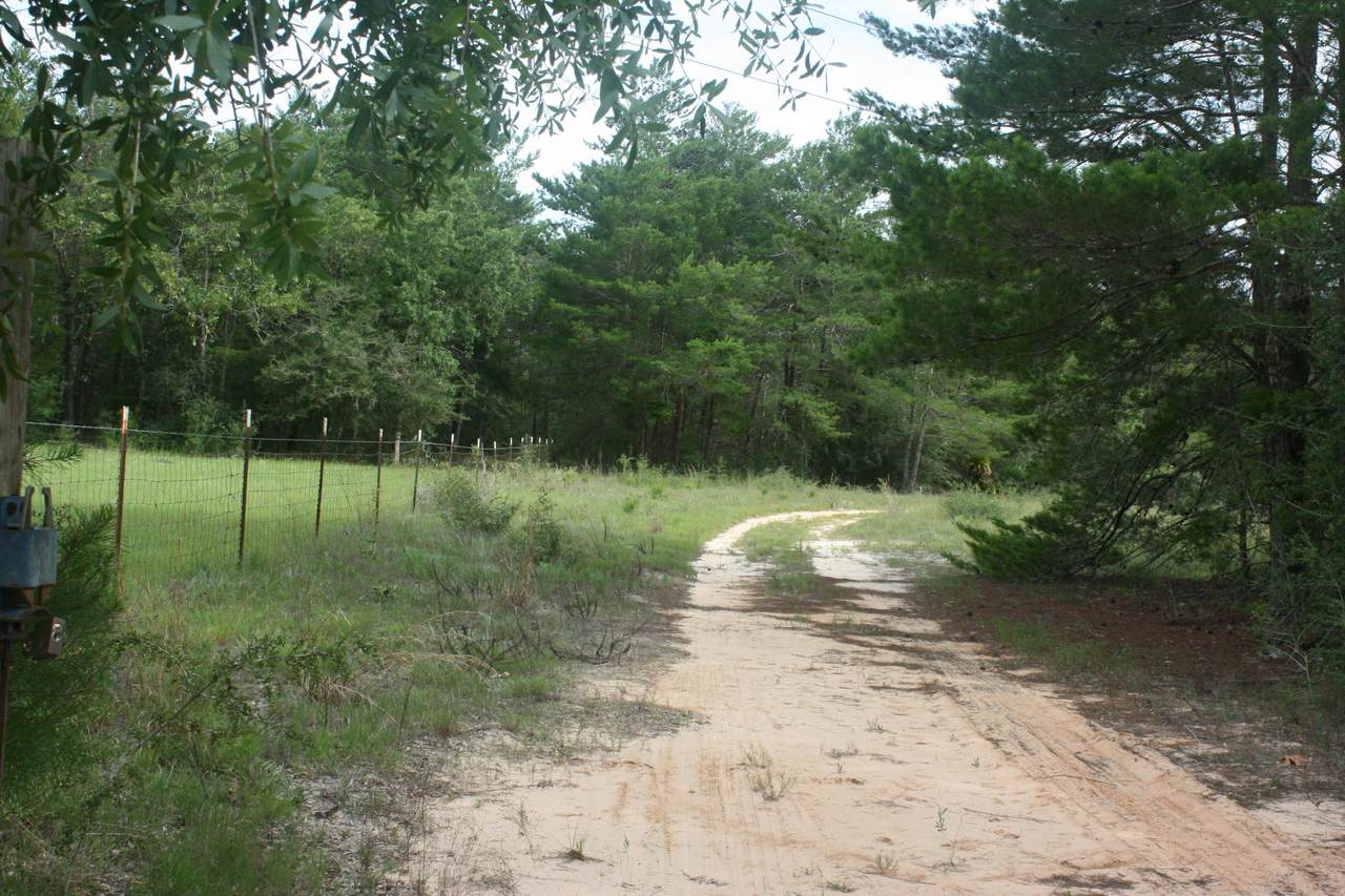 5348 Staghorn Road - Photo 1