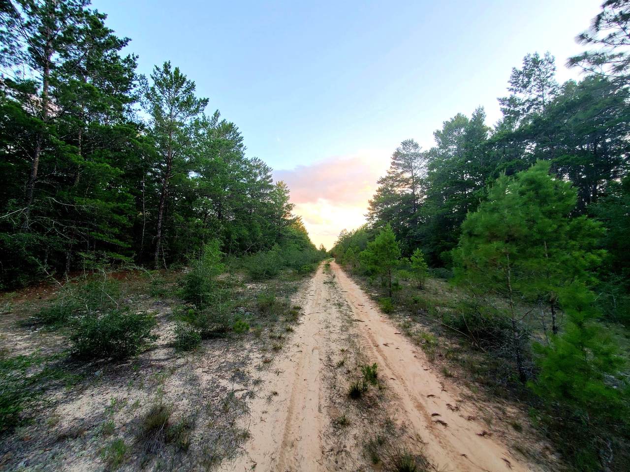 .35 ac xxx Wisteria Avenue - Photo 1